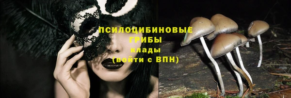 а пвп мука Вяземский