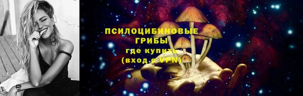 а пвп мука Вяземский