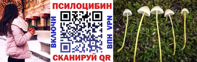 Псилоцибиновые грибы ЛСД  Купить где  Цивильск 