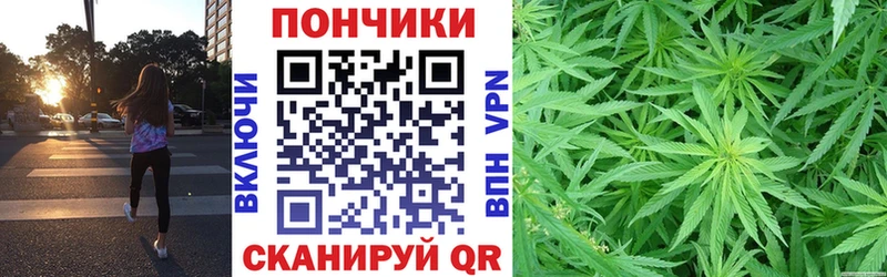 Шишки марихуана сатива  Купить закладки  Цивильск 